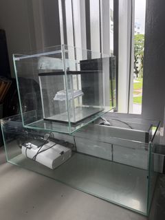 (Category: ) located in . Submitted by sotrish (Listing ID 1436741949, Image 1). Description: .
