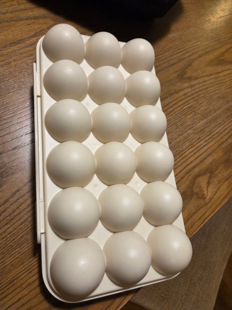 Egg & Spaghetti container448353328705064960