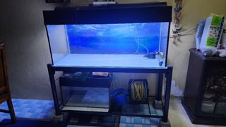 (Category: ) located in . Submitted by gautami9497 (Listing ID 1436708422, Image 1). Description: .