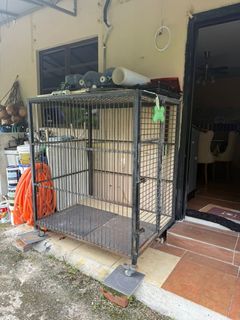 (Category: ) located in . Submitted by vizmis (Listing ID 1436709203, Image 1). Description: .