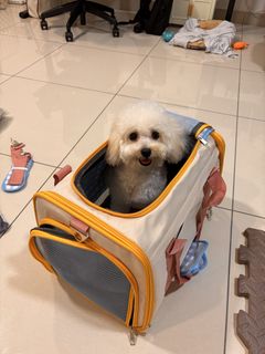 (Category: ) located in . Submitted by jvlee888 (Listing ID 1436758894, Image 1). Description: .