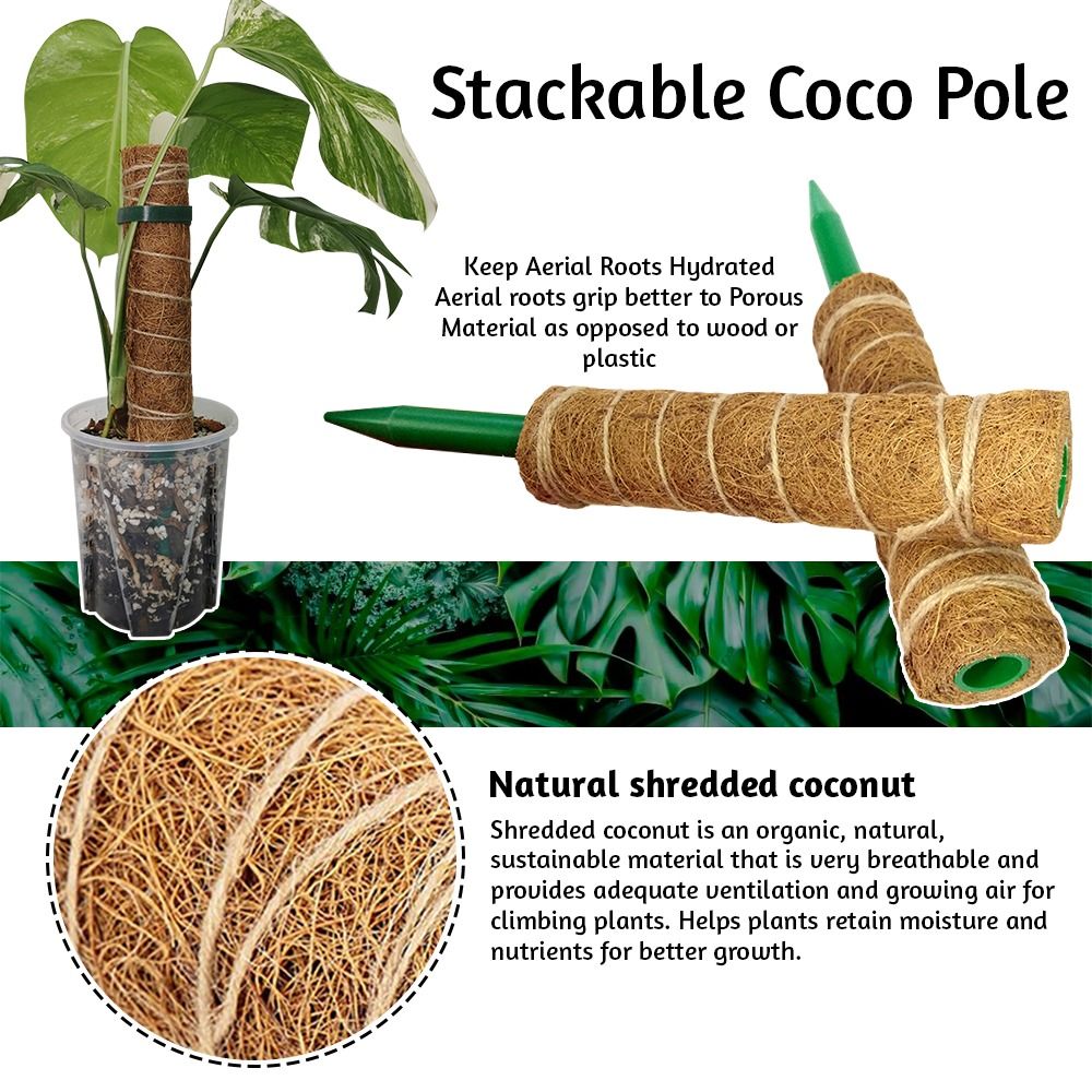PVC Stackable Coco Plant Pole support 30cm - 40cm (Category: Gardening Tools & Ornaments) located in Manila. Submitted by idealpapers (Listing ID 1436714924, Image 2). Description: Name:Stackable Coco Pole Material: natural coir + PVC rod Size: 30cm Estimated Price ₱ 90 40cm Estimated Price ₱ 120 .