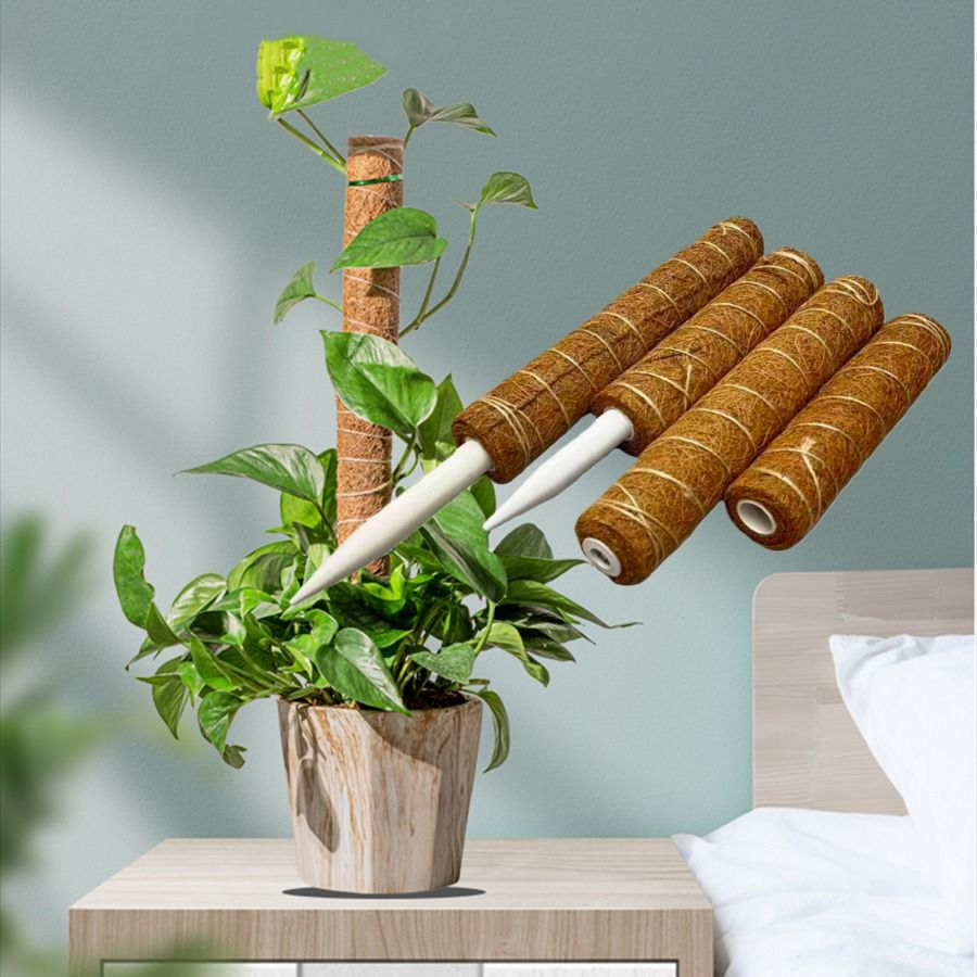 PVC Stackable Coco Plant Pole support 30cm - 40cm (Category: Gardening Tools & Ornaments) located in Manila. Submitted by idealpapers (Listing ID 1436714924, Image 3). Description: Name:Stackable Coco Pole Material: natural coir + PVC rod Size: 30cm Estimated Price ₱ 90 40cm Estimated Price ₱ 120 .