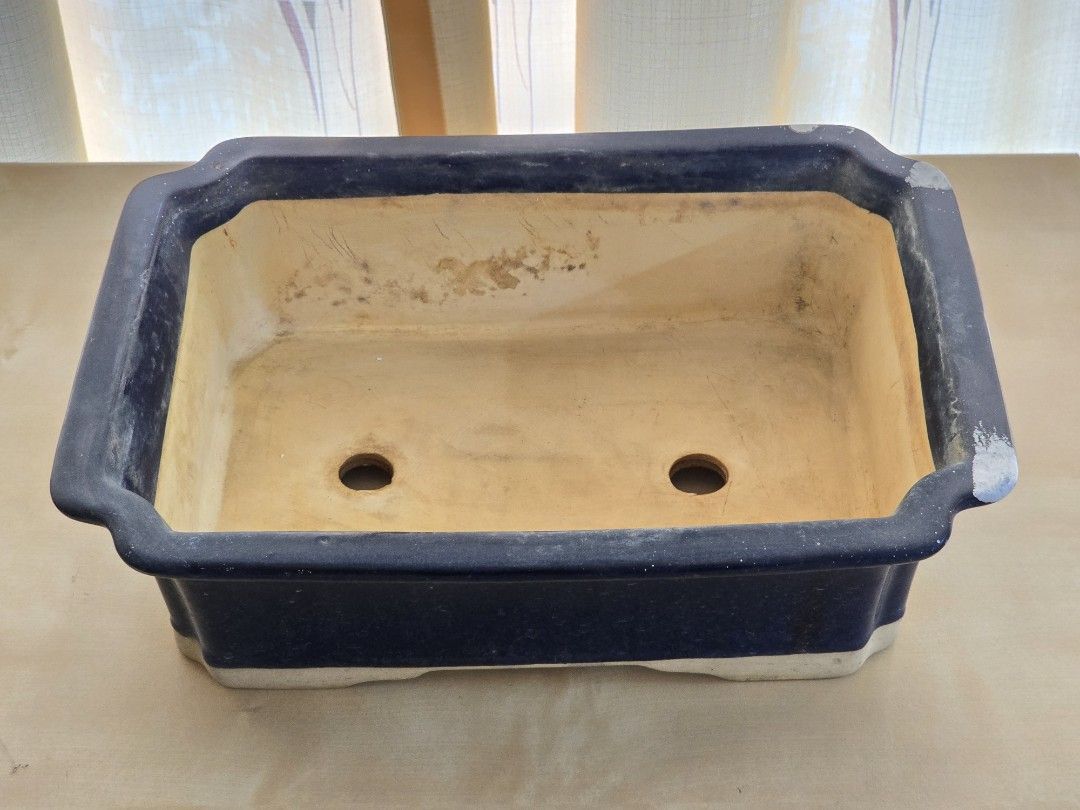 Rectangular Ceramic Bonsai Pot (Category: Pots & Planters) located in Singapore. Submitted by gentlegian74428 (Listing ID 1436735231, Image 1). Description: - Rectangular ceramic bonsai pot - Dark blue exterior, cream interior - Features two drainage holes - Minor wear and tear on edges.