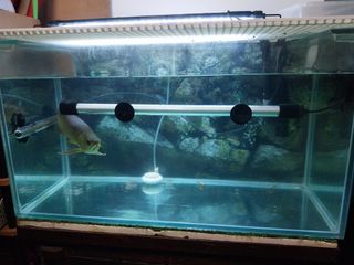 (Category: ) located in . Submitted by trish123 (Listing ID 1436679348, Image 1). Description: .
