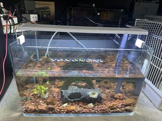 (Category: ) located in . Submitted by lml980821 (Listing ID 1436937888, Image 1). Description: .