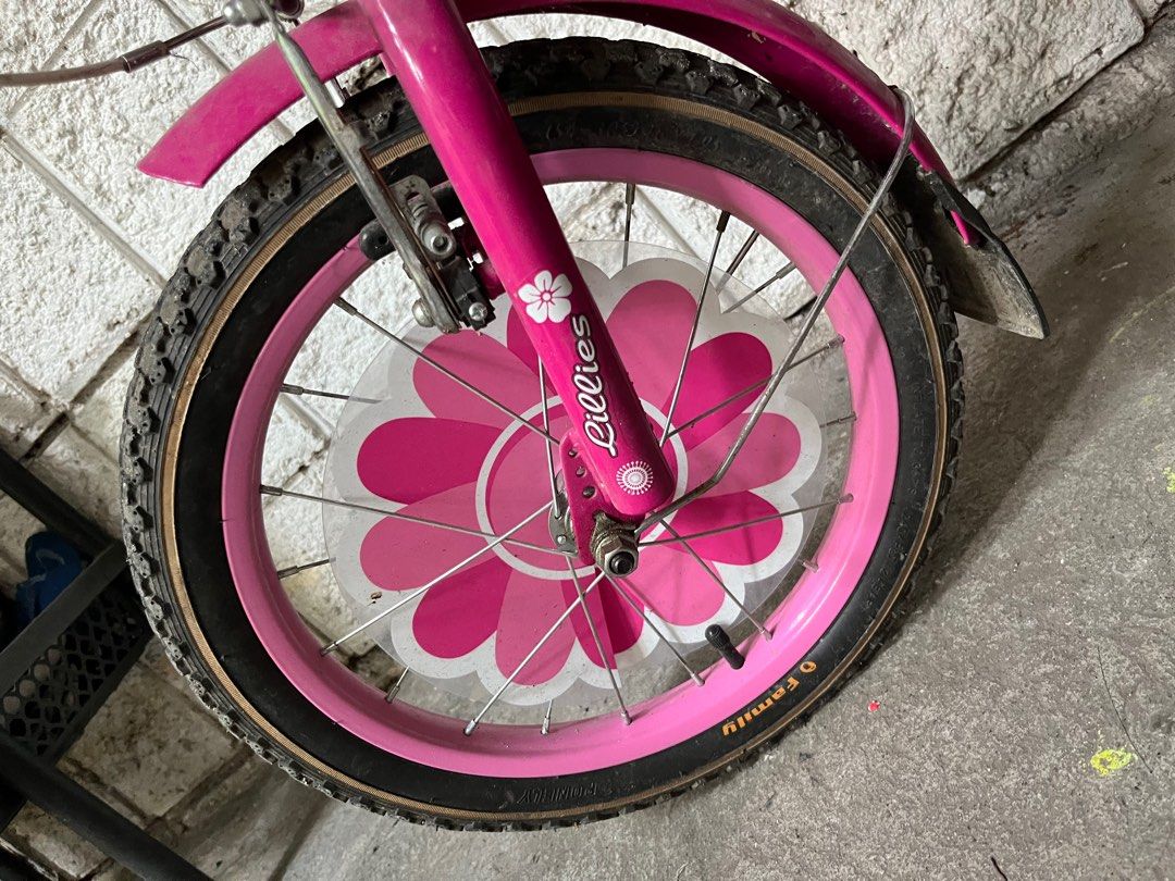 Family 16" Bike (Category: Bicycles) located in Caloocan City. Submitted by rrolshoppe (Listing ID 1436892823, Image 3). Description: 5k+ bili sa sm, september 2025 lang No issue, no kalawang. RFS: Naka sawaan na di na ginamit, may roller skate na. .