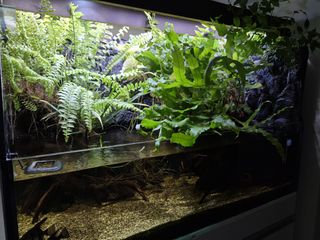 (Category: ) located in . Submitted by Sg187 (Listing ID 1436955851, Image 1). Description: .
