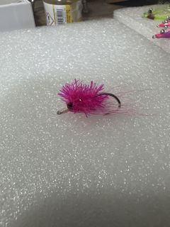 (Category: ) located in . Submitted by sgfishinglure (Listing ID 1436853806, Image 1). Description: .