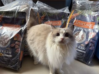 （分類：）位於 。 由 petter950788 提交（商品編號 1436909626，圖片 1）。簡介： 。