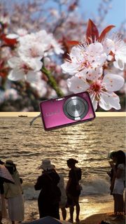 (Category: ) located in . Submitted by yourdigital.lens (Listing ID 1436923047, Image 1). Description: .