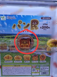 (Category: ) located in . Submitted by kerichu (Listing ID 1436949370, Image 1). Description: .
