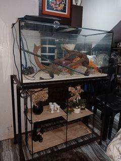 (Category: ) located in . Submitted by jameeeessssm (Listing ID 1441177078, Image 1). Description: .