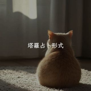 （分類：）位於 。 由 ayla_lunar 提交（商品編號 1441183909，圖片 1）。簡介： 。