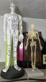 （分類：）位於 。 由 hk1083.com 提交（商品編號 1441256065，圖片 1）。簡介： 。