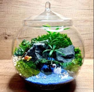 (Category: ) located in . Submitted by lushglassdoor (Listing ID 1441231642, Image 1). Description: .