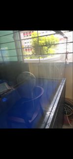 (Category: ) located in . Submitted by semb666 (Listing ID 1441321389, Image 1). Description: .
