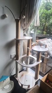 (Category: ) located in . Submitted by asiah1 (Listing ID 1441250109, Image 1). Description: .