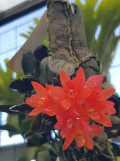 (Category: ) located in . Submitted by sindo.sg (Listing ID 1441355988, Image 1). Description: .