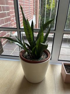 (Category: ) located in . Submitted by robmat (Listing ID 1441157654, Image 1). Description: .