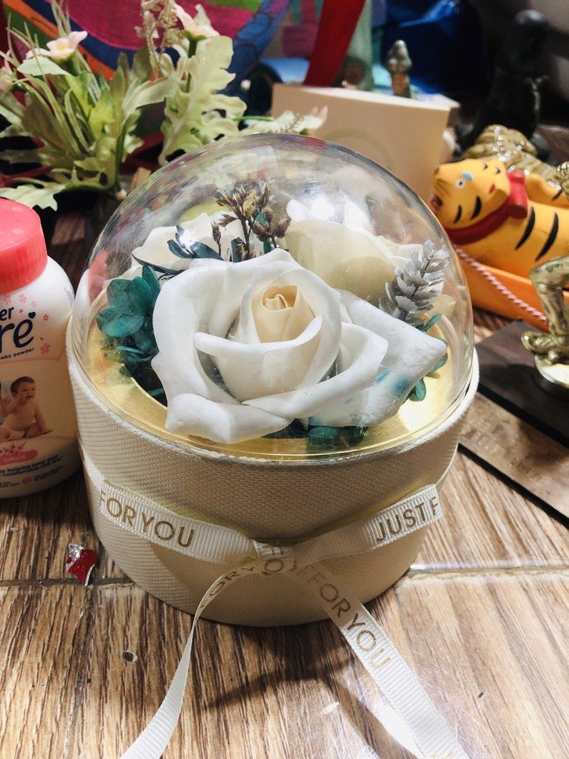 White Rose Preserved Flower Dome with Ribbon (Category: Flowers & Bouquets) located in Manila. Submitted by noemiaspa1702 (Listing ID 1441260739, Image 1). Description: - Beautiful preserved white roses - Encased in a clear dome - Comes in a round gift box - Features a 'Just For You' ribbon - Ideal for gifts or home decor - Realistic appearance - Long-lasting preservation - Adds a lovely touch to any space.