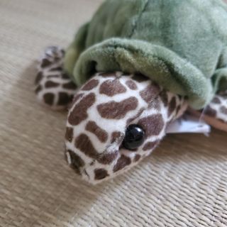 （分類：）位於 。 由 vivibee0070 提交（商品編號 1443037502，圖片 1）。簡介： 。