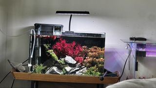 (Category: ) located in . Submitted by AndrewSW135 (Listing ID 1443050752, Image 1). Description: .