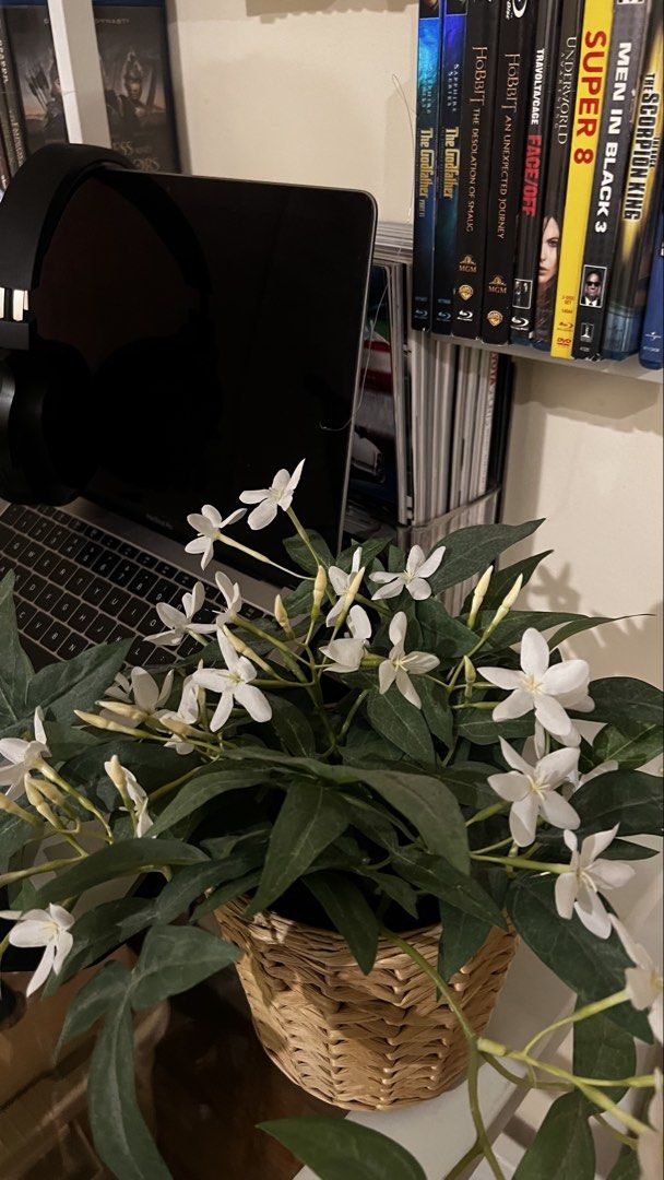 Artificial Jasmine Plant in Wicker Pot (Category: Artificial Plants & Flowers) located in Makati City. Submitted by chloescorner (Listing ID 1443014761, Image 1). Description: - Realistic artificial jasmine plant - Features white flowers and green leaves - Comes in a charming woven wicker pot - Adds a lovely touch to any space - Ideal for desks, shelves, or any corner - Zero maintenance: no watering required.