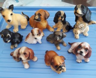 (Category: ) located in . Submitted by future2017 (Listing ID 1442997888, Image 1). Description: .
