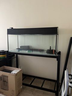 (Category: ) located in . Submitted by maggg (Listing ID 1442979823, Image 1). Description: .
