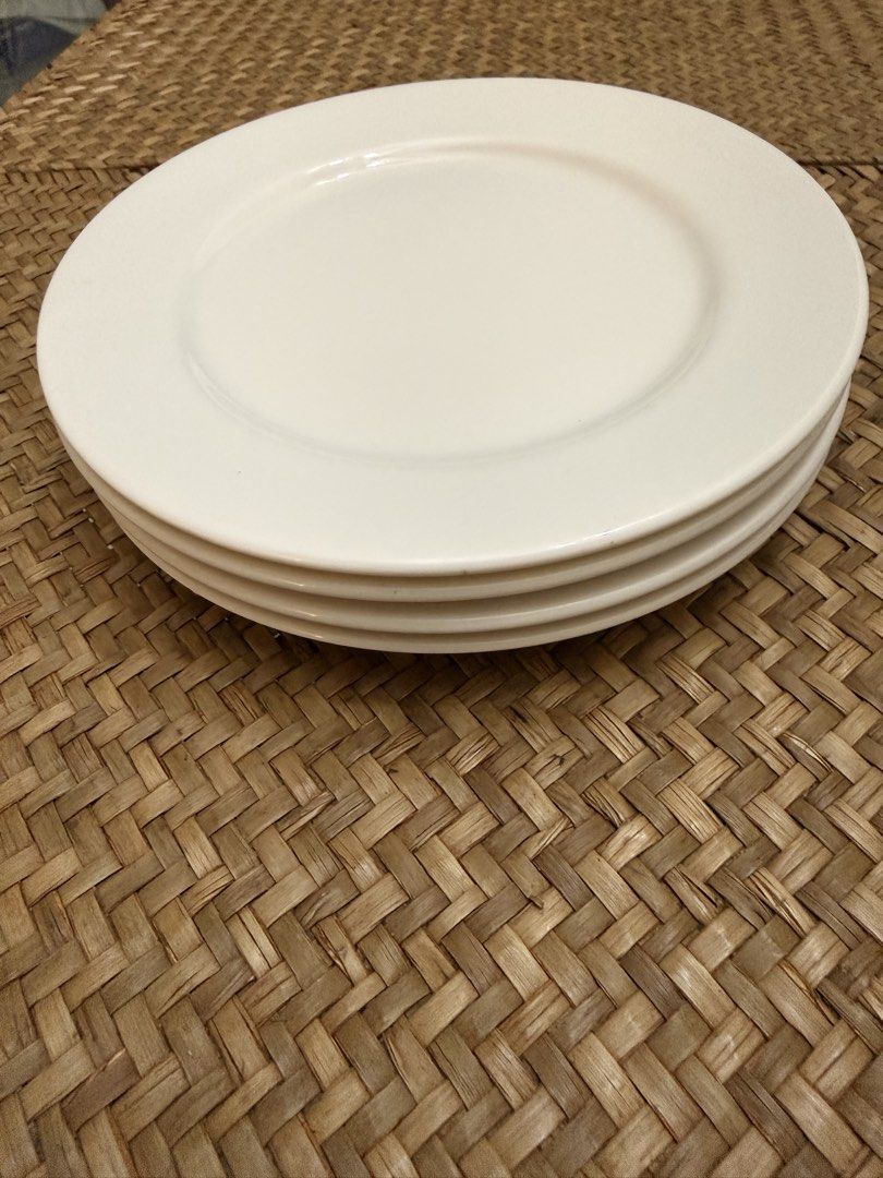 Luzerne White Ceramic Dinner Plates Set of 4