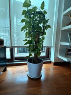 (Category: ) located in . Submitted by gly_wilkinson (Listing ID 1443013530, Image 1). Description: .