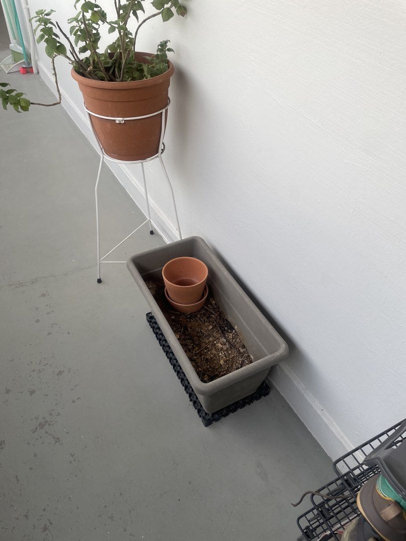 Rectangular Grey Plastic Planter with Terracotta Pots478327179901020161
