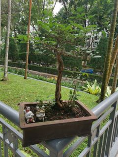 (Category: ) located in . Submitted by ghkong1958 (Listing ID 1443035017, Image 1). Description: .