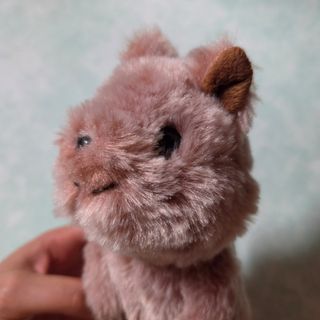 （分類：）位於 。 由 bear429 提交（商品編號 1443090447，圖片 1）。簡介： 。