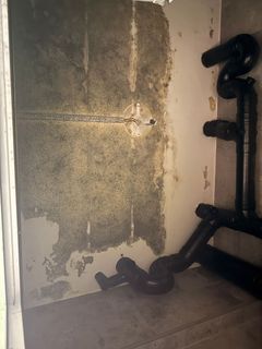 (Category: ) located in . Submitted by paintingflooringservice01 (Listing ID 1443021484, Image 1). Description: .
