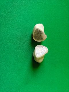 (Category: ) located in . Submitted by nabil_ray (Listing ID 1443264090, Image 1). Description: .