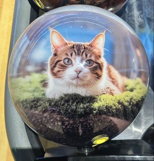 (Category: ) located in . Submitted by trstt (Listing ID 1443129001, Image 1). Description: .