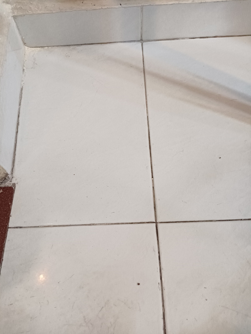 (Category: ) located in . Submitted by crown99 (Listing ID 1443287706, Image 1). Description: .