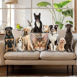 (Category: ) located in . Submitted by gifts_shop (Listing ID 1443294230, Image 1). Description: .