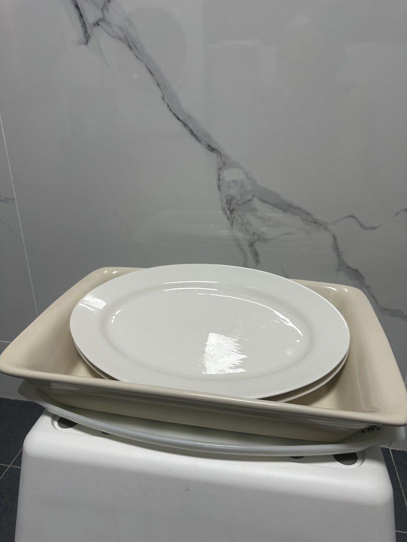 Dish plates479442521083750401