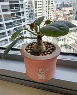 (Category: ) located in . Submitted by tankl (Listing ID 1443150781, Image 1). Description: .