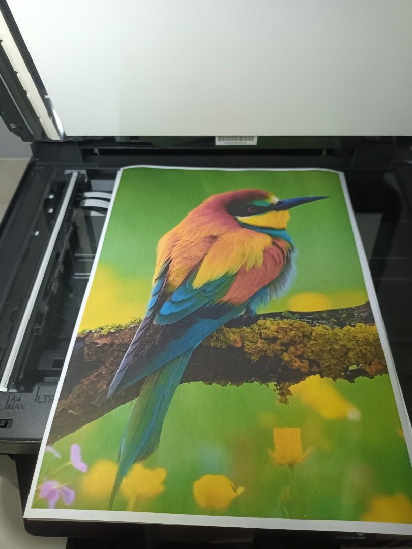 Epson L6170 WiFi Printer479251124317726726