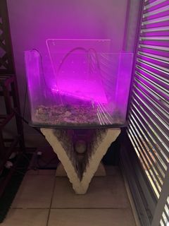 (Category: ) located in . Submitted by aashim (Listing ID 1443127436, Image 1). Description: .