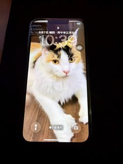 （分類：）位於 。 由 pakcohk 提交（商品編號 1443294617，圖片 1）。簡介： 。