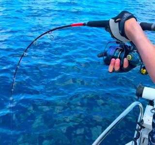 (Category: ) located in . Submitted by sg_fishing (Listing ID 1443290102, Image 1). Description: .