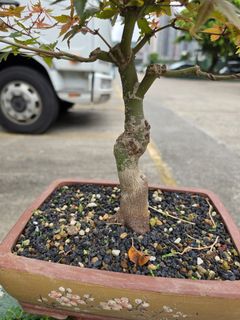 （分類：）位於 。 由 nigel3668-28016 提交（商品編號 1443151782，圖片 1）。簡介： 。
