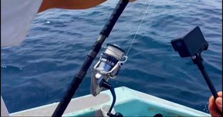 (Category: ) located in . Submitted by sg_fishing (Listing ID 1443222731, Image 1). Description: .