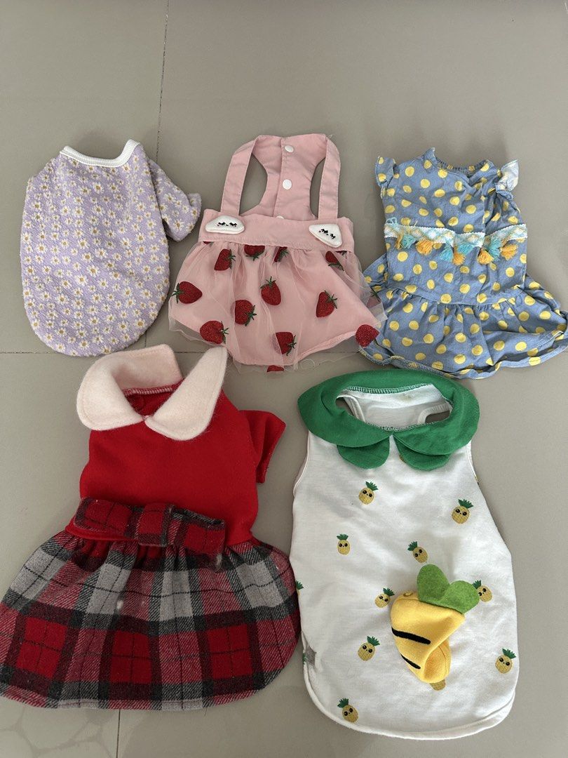 TAKE ALL Dog’s Clothes (Category: Homes & Other Pet Accessories) located in Quezon City. Submitted by littlemis (Listing ID 1443317923, Image 1). Description: .