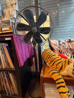 (Category: ) located in . Submitted by cherbodom (Listing ID 1443268742, Image 1). Description: .